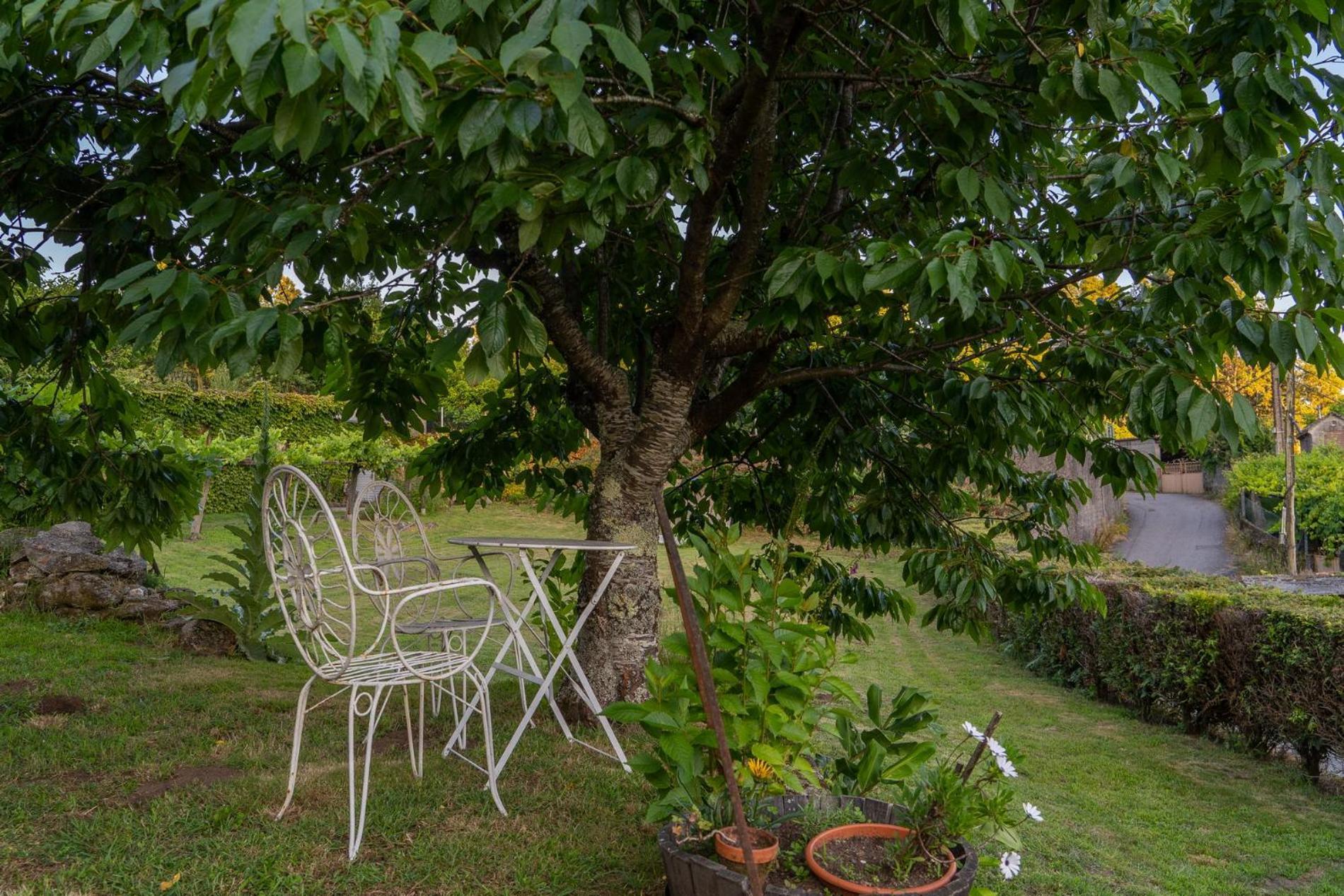 Casa Lameiro 리돈델라 외부 사진